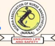 nana-logo-2025-04-30_orig